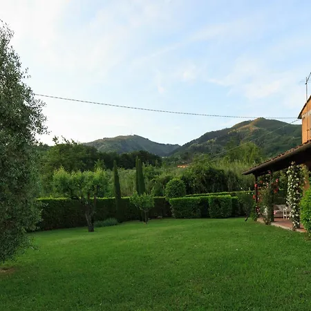 Villa In Tuscany With Infinity Pool *